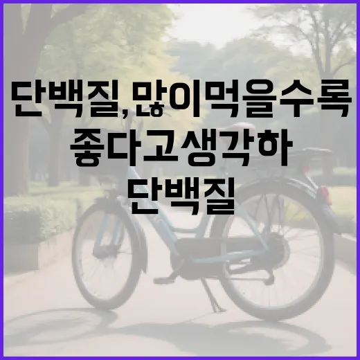 단백질, 많이 먹을수록 몸에 좋다고 생각하고 계신가요? - 요약