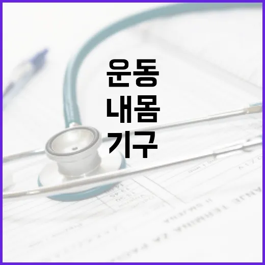 운동기구, 집에 들이기 전에 내 몸에 맞는지 궁금하신가요? - 요약