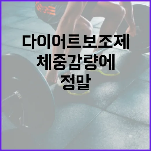 다이어트보조제, 정말 체중 감량에 도움이 될까요? - 요약