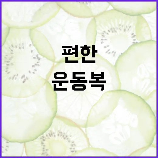 운동복, 그냥 편한 옷이면 충분할까요? - 요약