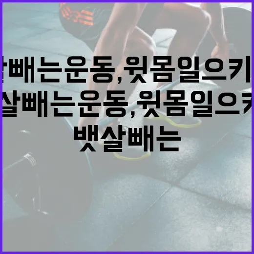 뱃살빼는운동, 윗몸일으키기만 계속하고 계신가요? - 요약