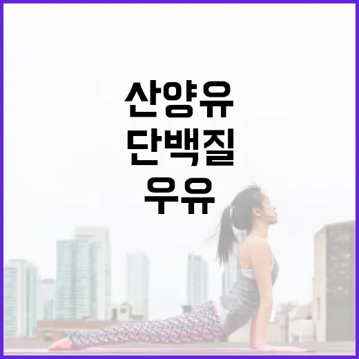 산양유단백질, 우유 단백질보다 속이 편할까요? - 요약