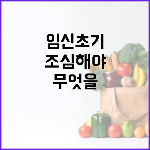 임신 초기부터 무엇을 조심해야 할까요? - 요약