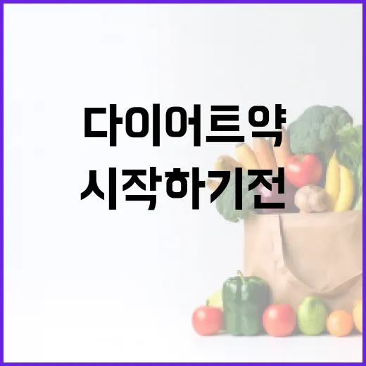 다이어트약, 시작하기 전에 꼭 확인할 점이 궁금하신가요? - 요약