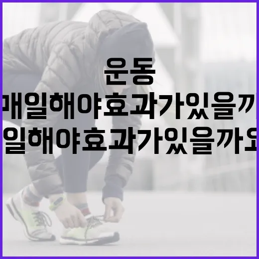 운동, 매일 해야 효과가 있을까요? - 요약