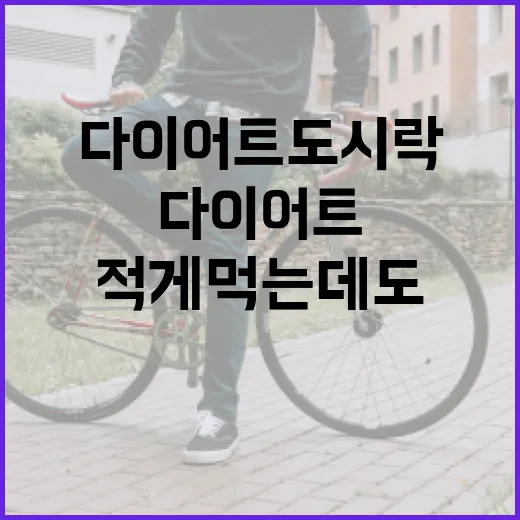 다이어트도시락, 적게 먹는데도 왜 자꾸 허기질까요? - 요약