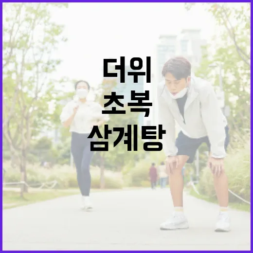 초복에 삼계탕 꼭 먹어야 할까요? 더위 나는 식사 기준이 궁금하신가요? - 요약