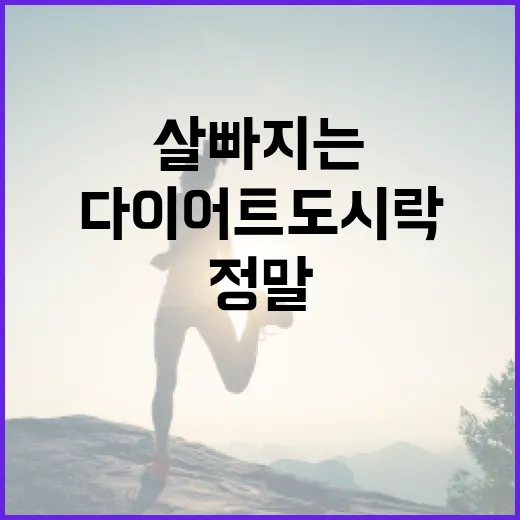 다이어트도시락, 정말 살 빠지는 식사로 먹고 계신가요? - 요약