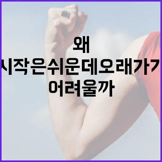 다이어트, 왜 늘 시작은 쉬운데 오래가기는 어려울까요? - 요약
