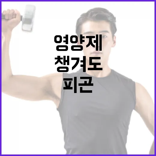 간영양제, 피곤할 때마다 챙겨도 괜찮을까요? - 요약