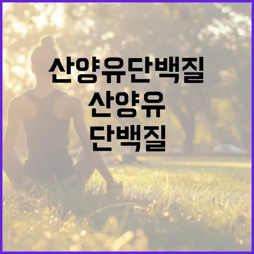 산양유단백질, 우유보다 속이 편하다는 말 믿어도 될까요? - 요약