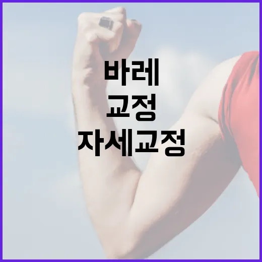 바레운동, 자세 교정에 정말 괜찮을까요? - 요약