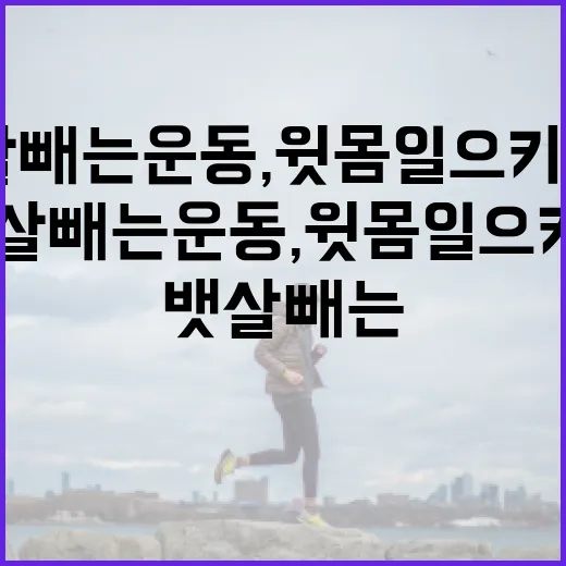 뱃살빼는운동, 윗몸일으키기만 계속하고 계신가요? - 요약