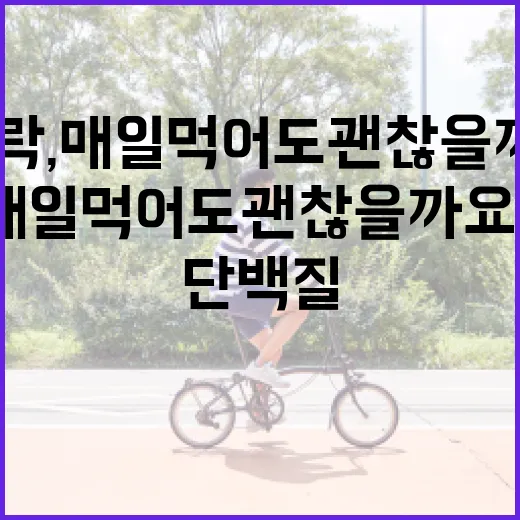 단백질도시락, 매일 먹어도 괜찮을까요? - 요약