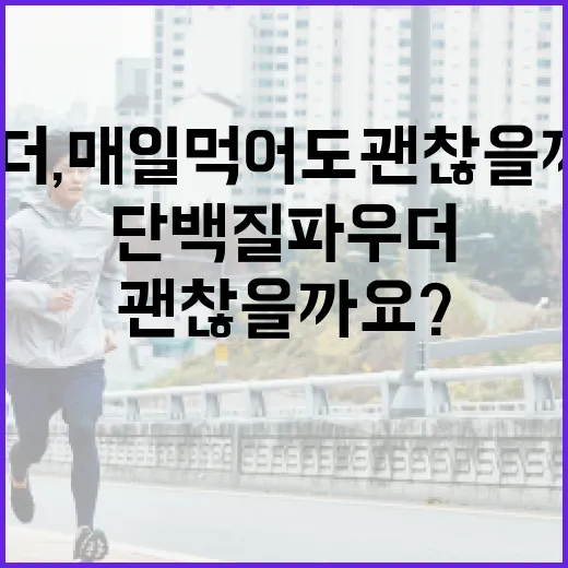 단백질파우더, 매일 먹어도 괜찮을까요? - 요약