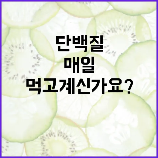단백질음식, 매일 얼마나 먹고 계신가요? - 요약