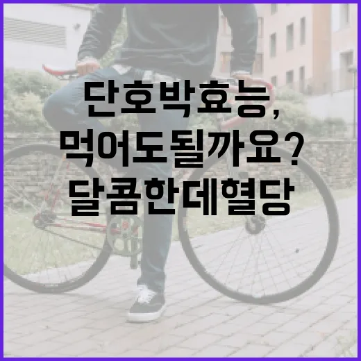 단호박 효능, 달콤한데 혈당 걱정 없이 먹어도 될까요? - 요약