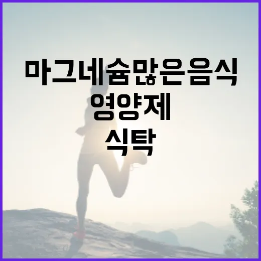 마그네슘 많은 음식, 영양제로 먹기 전에 식탁에서 챙기고 계신가요? - 요약