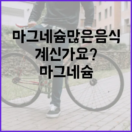 마그네슘 많은 음식, 매일 어떻게 챙기고 계신가요? - 요약