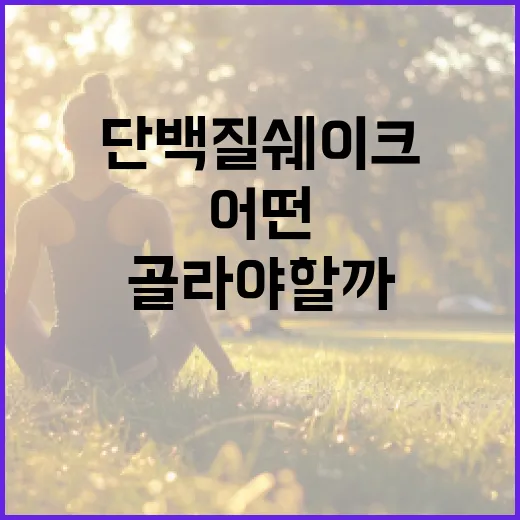 단백질쉐이크추천, 내 몸에는 어떤 기준으로 골라야 할까요? - 요약
