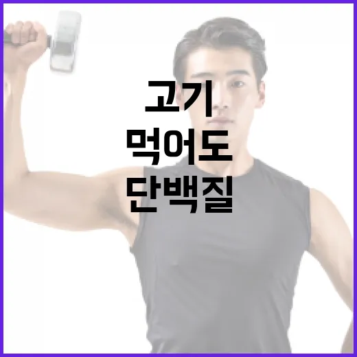 식물성단백질, 고기 대신 먹어도 충분할까요? - 요약