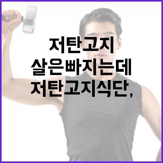 저탄고지식단, 살은 빠지는데 계속해도 괜찮을까요? - 요약
