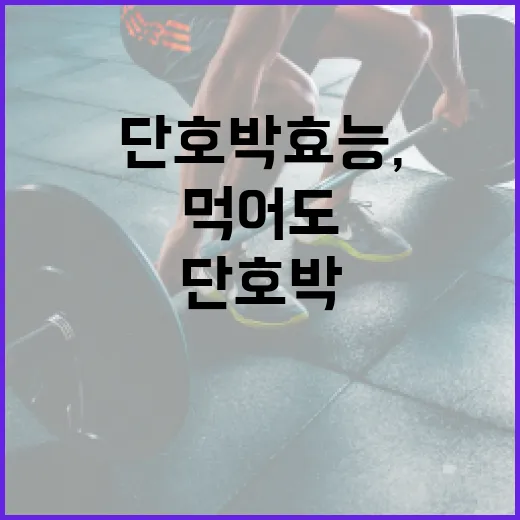 단호박 효능, 달아서 걱정되는데 자주 먹어도 괜찮을까요? - 요약