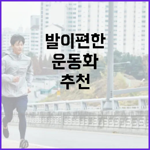 운동화추천, 발이 편한 기준을 놓치고 계신가요? - 요약