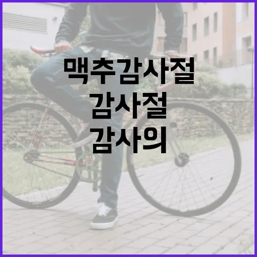 맥추감사절, 감사의 날을 건강하게 보내려면 무엇을 챙기고 계신가요? - 요약