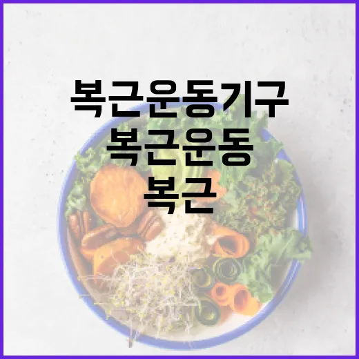 복근운동기구, 집에 하나 두면 정말 배가 달라질까요? - 요약