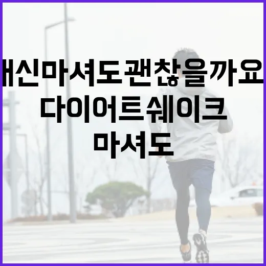 다이어트쉐이크, 식사 대신 마셔도 괜찮을까요? - 요약