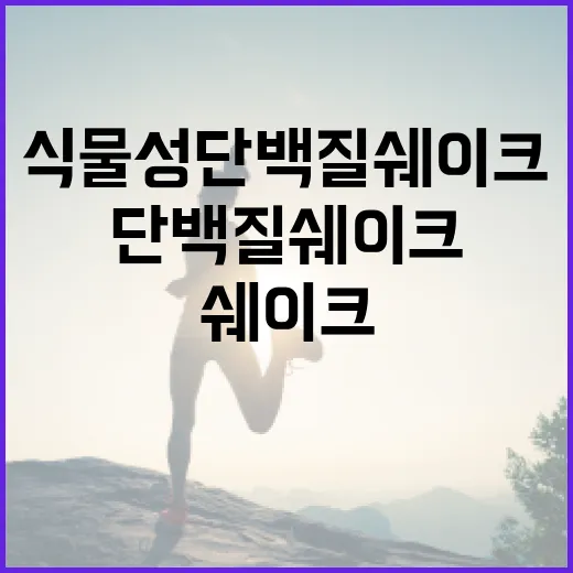 식물성단백질쉐이크, 매일 마셔도 괜찮을까요? - 요약