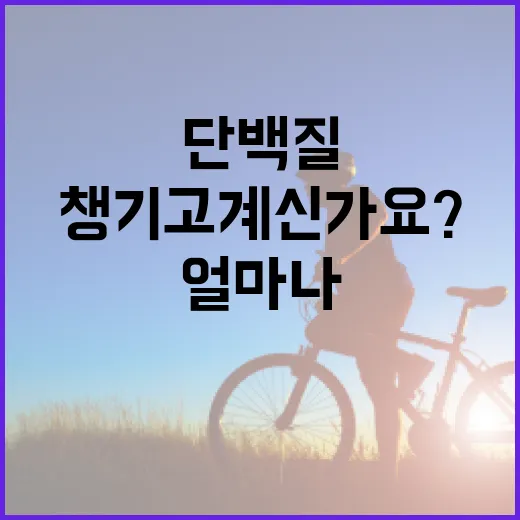 단백질음식, 매끼 얼마나 챙기고 계신가요? - 요약