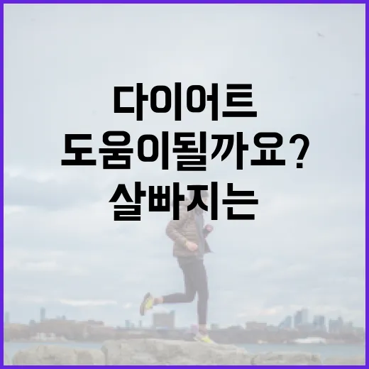 다이어트효소, 정말 살 빠지는 데 도움이 될까요? - 요약