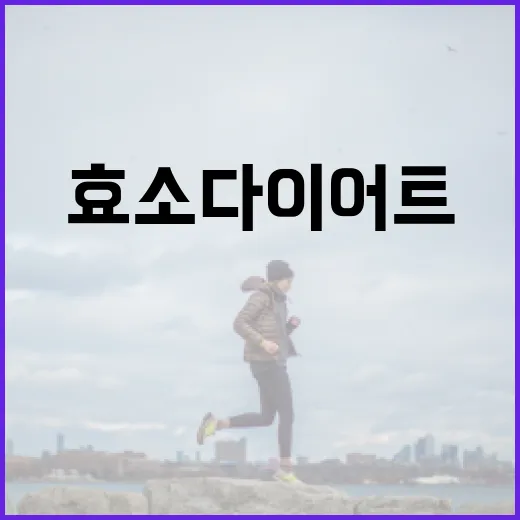 효소다이어트, 정말 살이 빠지는 원리가 궁금하신가요? - 요약
