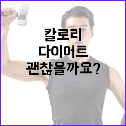 다이어트소스, 칼로리만 낮으면 괜찮을까요? - 요약