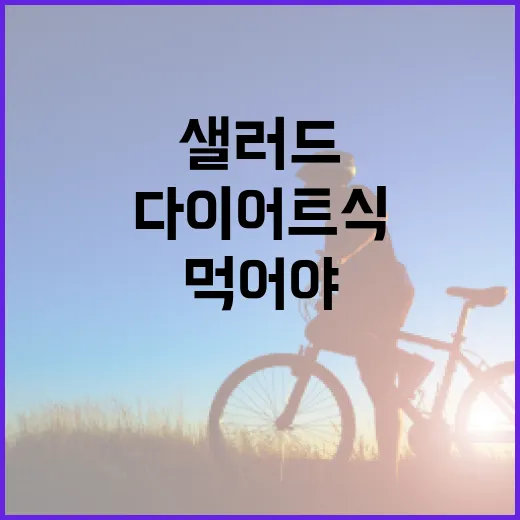 다이어트식, 샐러드만 먹어야 한다고 생각하고 계신가요? - 요약