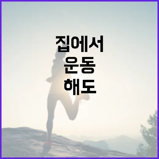 홈트레이닝, 집에서 해도 운동 효과가 충분할까요? - 요약