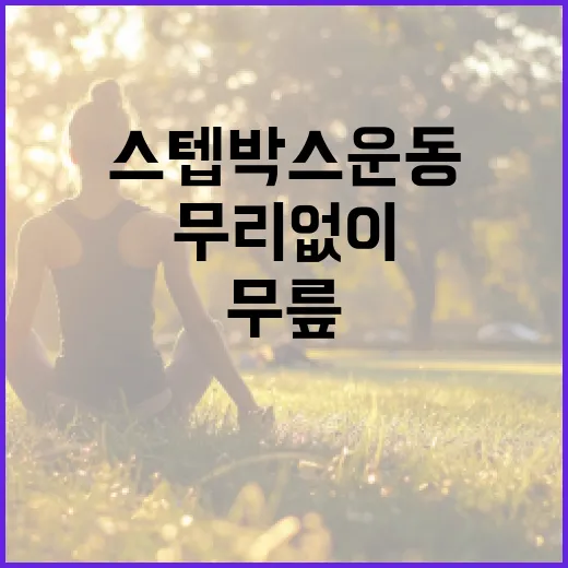 스텝박스운동, 무릎에 무리 없이 해도 괜찮을까요? - 요약