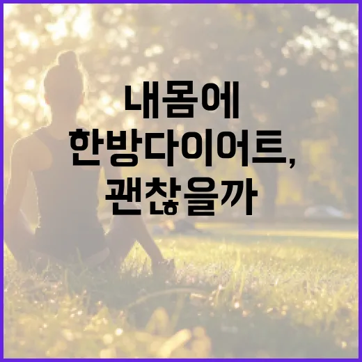 한방다이어트, 내 몸에 맞으면 정말 괜찮을까요? - 요약