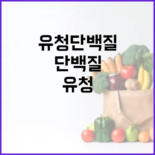 유청단백질, 매일 먹어도 괜찮을까요? - 요약