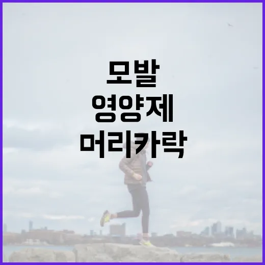 모발영양제, 머리카락이 빠질 때 정말 먹어도 괜찮을까요? - 요약