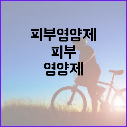 피부영양제, 정말 피부가 달라지는 걸 느끼고 계신가요? - 요약