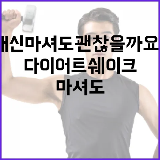 다이어트쉐이크, 식사 대신 마셔도 괜찮을까요? - 요약