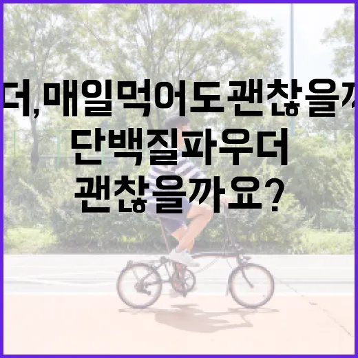 단백질파우더, 매일 먹어도 괜찮을까요?