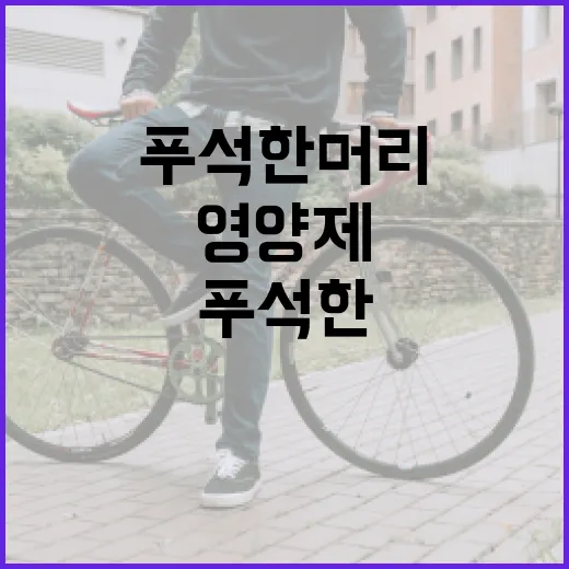 머리영양제, 정말 탈모와 푸석한 머리에 필요할까요? - 요약
