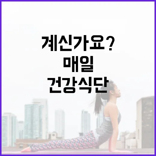 건강식단, 매일 완벽하게 차려야 한다고 느끼고 계신가요? - 요약