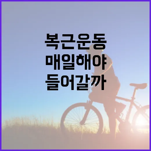 복근운동, 매일 해야 배가 들어갈까요? - 요약
