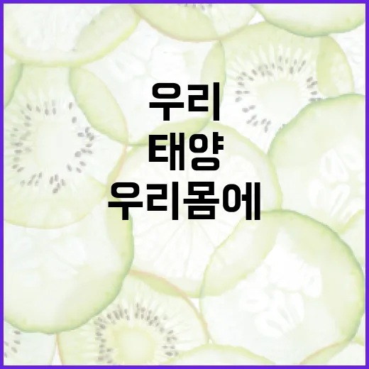 번개는 태양보다 뜨겁다는데, 우리 몸에는 왜 위험할까요? - 요약