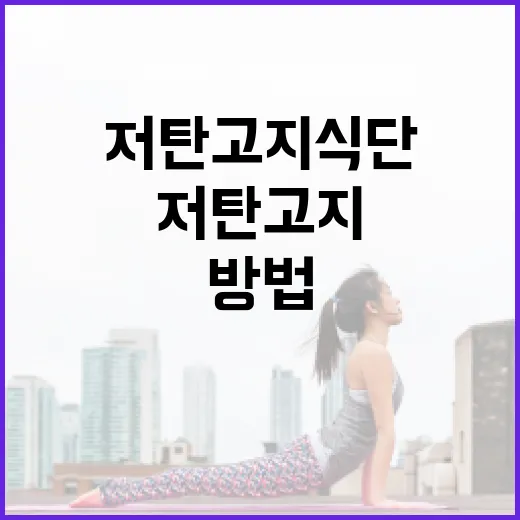 저탄고지식단, 나에게도 괜찮은 방법일까요? - 요약